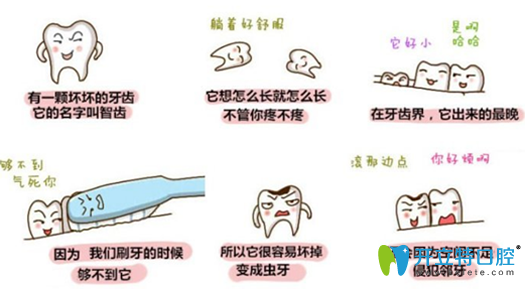 為什么會(huì)長智齒