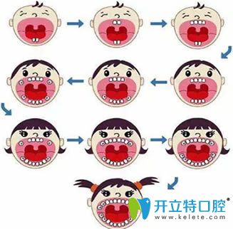 提供乳牙和恒牙的區(qū)別,以及乳牙的換牙順序和時間