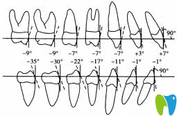 牙齒唇向傾斜、舌向傾斜范圍
