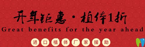 杭州美萊口腔開年鉅惠，植體1折種僅限前50名欲報(bào)從速哦！