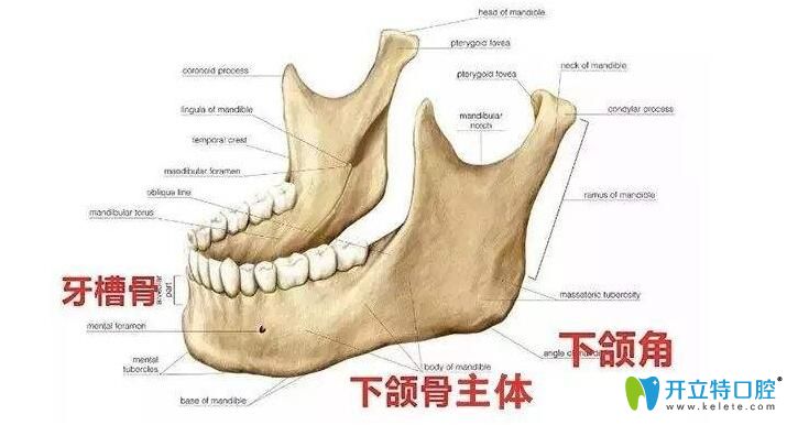 拔四顆牙會不會改變臉型