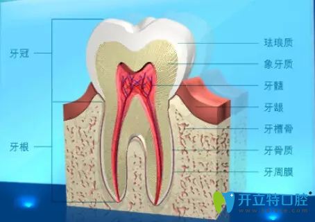 牙槽骨突出能按進(jìn)去嗎，如果選擇矯正該怎么搞？