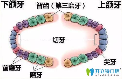 智齒冠周炎怎么治療