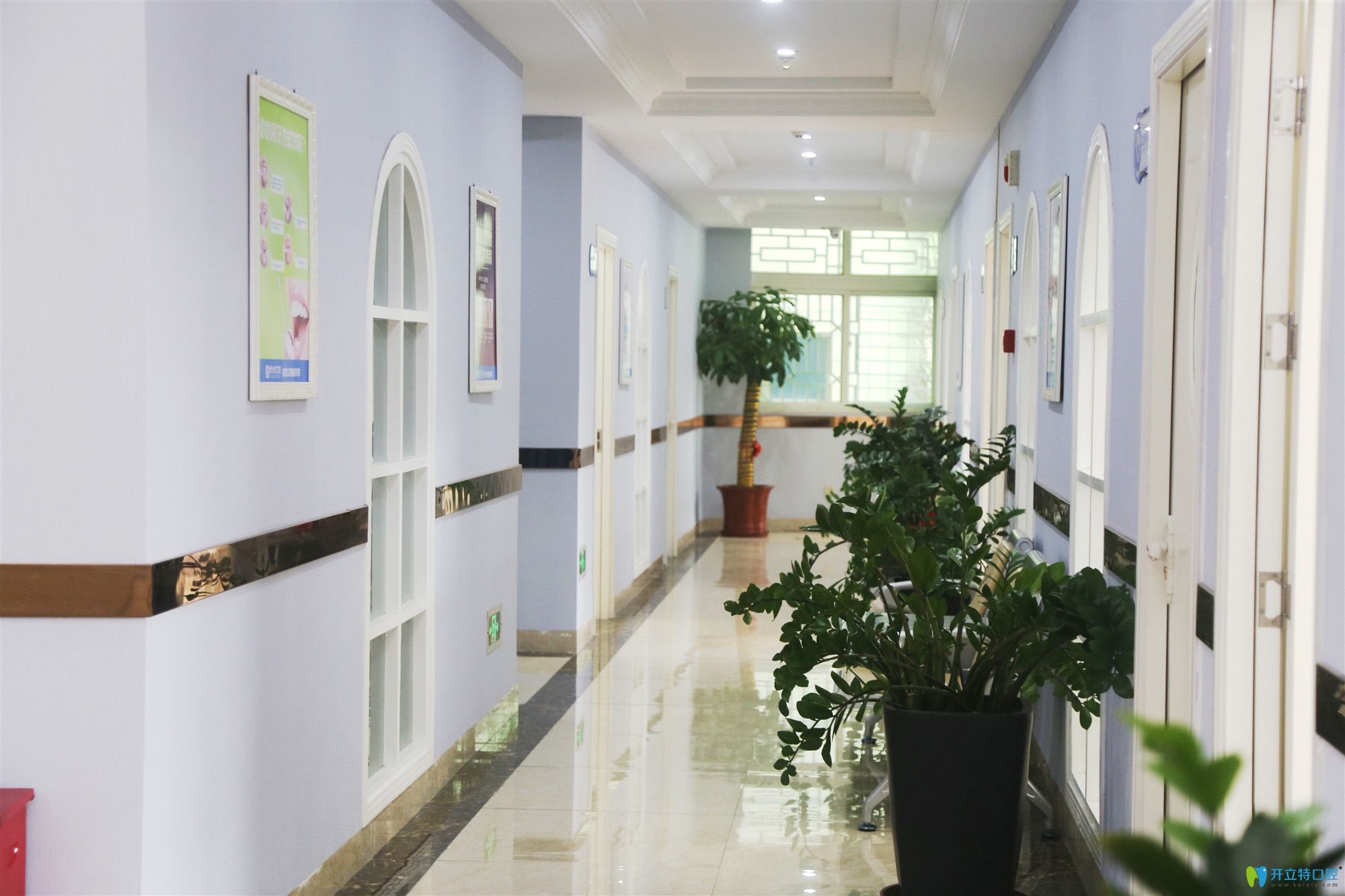 晉江修大夫二樓走廊 晉江修大夫二樓走廊