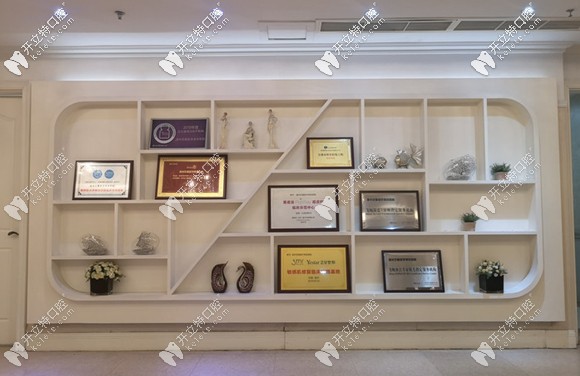 醫(yī)院所獲榮譽(yù)展示區(qū) 醫(yī)院所獲榮譽(yù)展示區(qū)