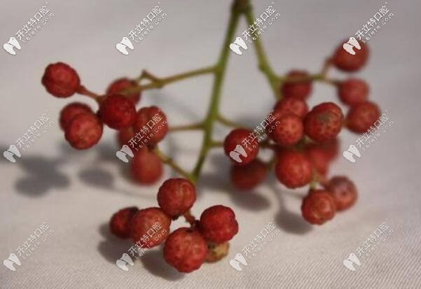 花椒治牙疼