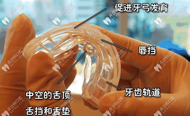 MRC肌功能矯正器的組成 MRC肌功能矯正器的組成