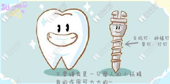 我是一只小小的支抗釘