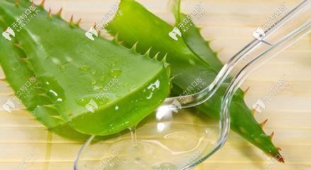 蘆薈治療牙疼