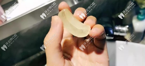 這個咬合模型學(xué)名叫啥？？