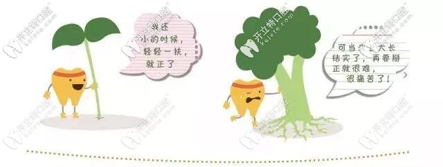 牙齒生長卡通圖