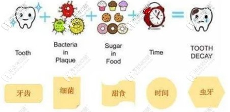 非酸性的食物也會(huì)酸蝕牙齒