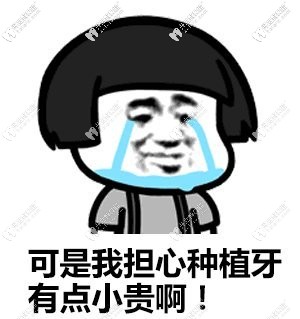 做過意大利西泰克種植牙的來說說，你們花了多少費(fèi)用？