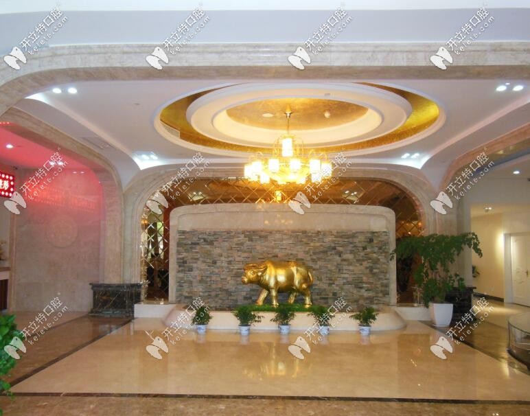 無(wú)錫施爾美口腔 大廳