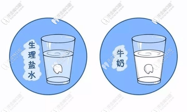 脫位牙存放位置