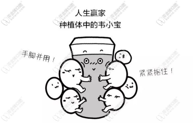 美國zimmer種植體優(yōu)勢多多