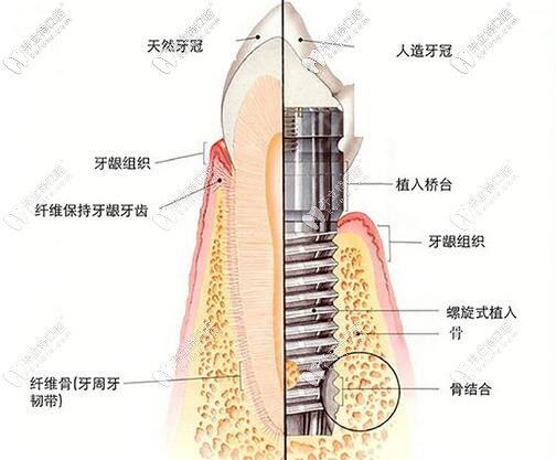 <!--<i data=20240703-sp></i>-->溫志達醫(yī)生怎么樣