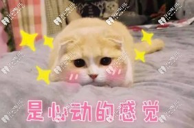 沒(méi)有領(lǐng)到獎(jiǎng)怎么辦