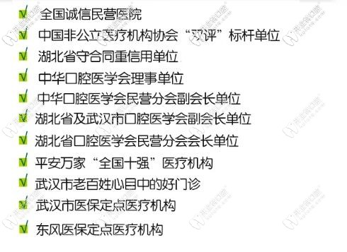 武漢愛尚大眾齒科榮譽(yù)稱號