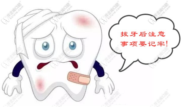 記下拔牙后注意事項(xiàng)能減少疼痛還恢復(fù)的快