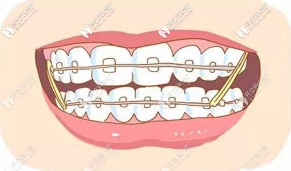 白麗鵬醫(yī)生的擅長項目介紹