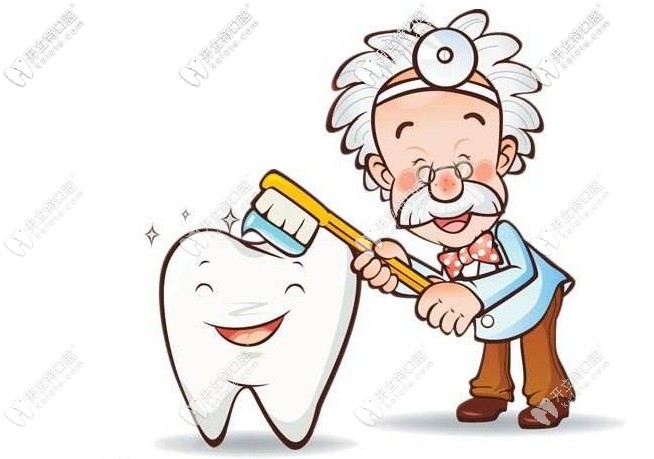 滬鴿美晶瓷和瓷倍健的價格