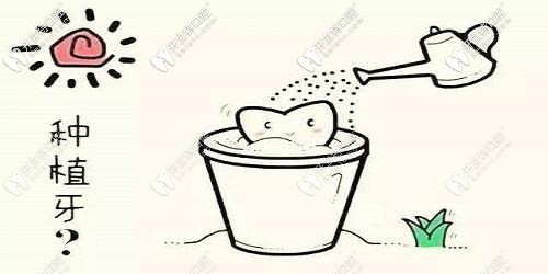 玩大了！我把咸陽海濤口腔的種植牙價格表給泄露了！