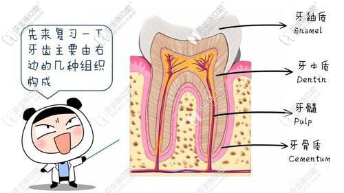 葉宏醫(yī)生的擅長(zhǎng)項(xiàng)目 葉宏醫(yī)生的擅長(zhǎng)項(xiàng)目