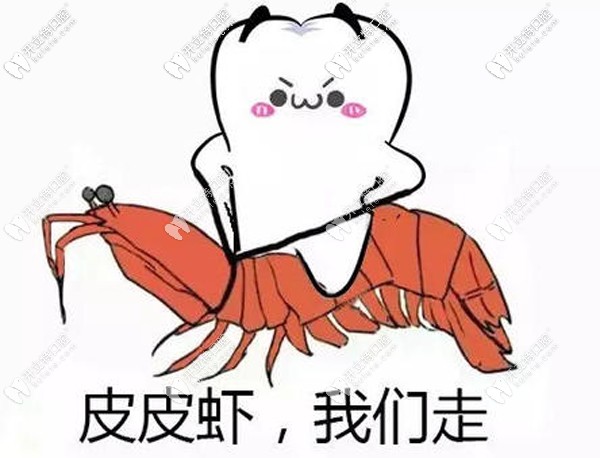 <!--<i data=20240703-sp></i>-->