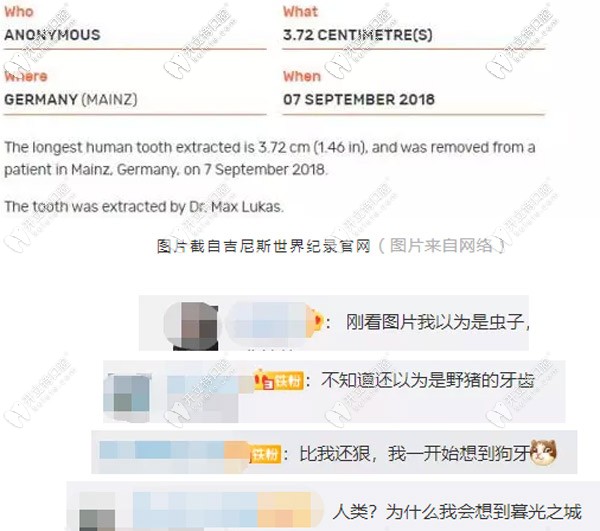 來看看當(dāng)時(shí)網(wǎng)友的一些評(píng)論