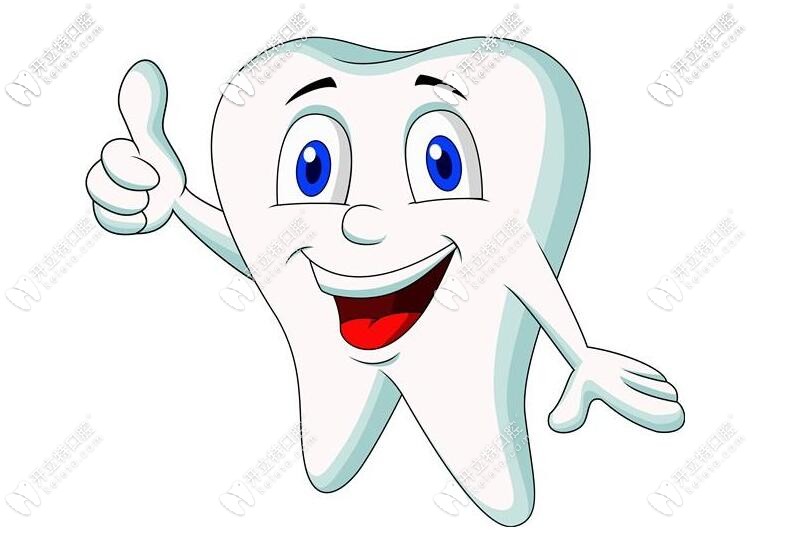 牙齒美觀動畫圖 牙齒美觀動畫圖