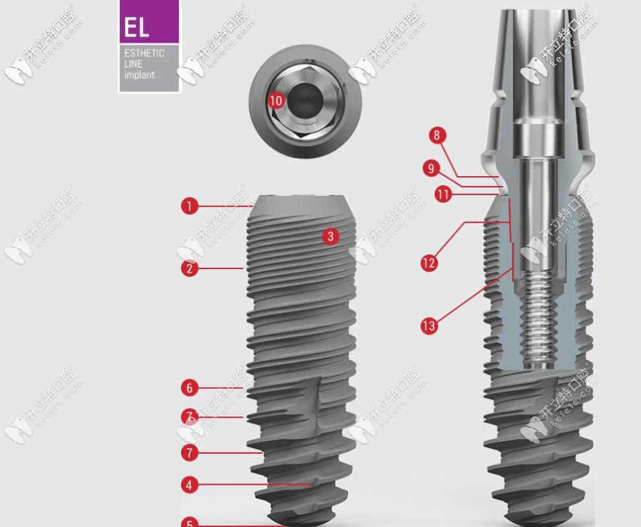 意大利西泰克CTech種植體外表