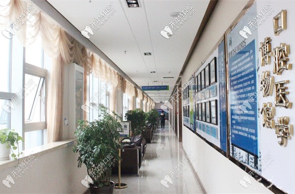 在<!--<i data=20240703-sp></i>-->齒科種八顆牙的價格