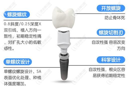 皓圣種植體的結構形成