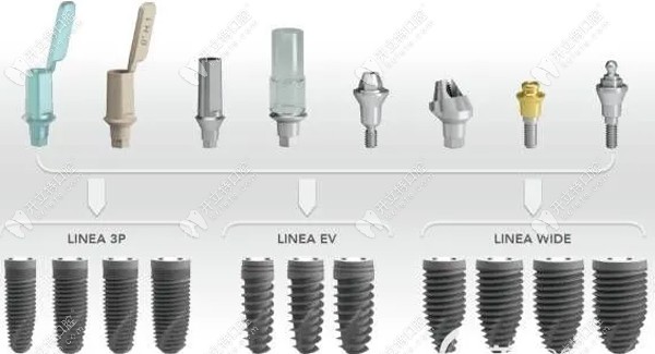 意大利BB型號可選擇性大