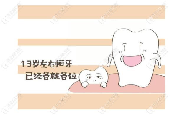 13歲的兒童恒壓就長(zhǎng)出來(lái)了 13歲的兒童恒壓就長(zhǎng)出來(lái)了